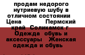 продам недорого нутриевую шубу в отличном состоянии › Цена ­ 4 000 - Пермский край, Соликамск г. Одежда, обувь и аксессуары » Женская одежда и обувь   